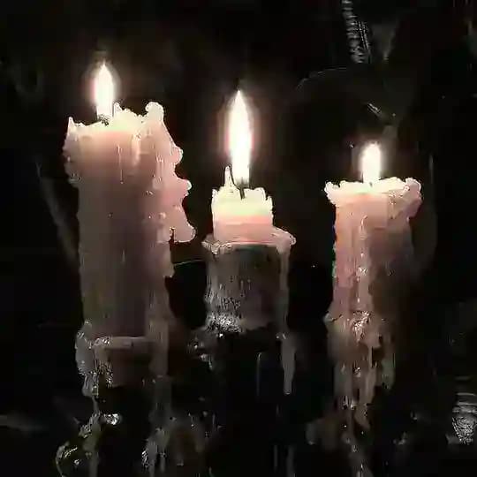 ˖𓍢ִִ໋𖥔 ۫𝕭ɪʙʟɪᴏᴘʜɪʟɪᴀᯓ🕯️ Profile