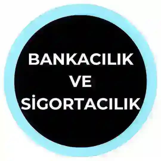 BANKACILIK VE SİGORTACILIK Profile