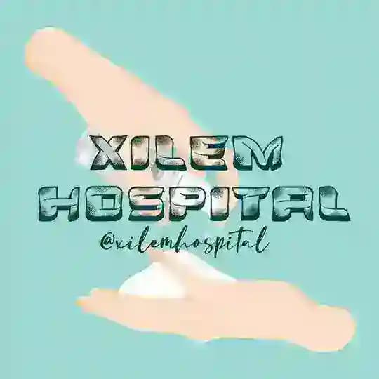 XILEM HOSPITAL Profile