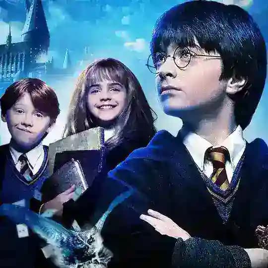 Harry Porter Telugu All Seasons Profile